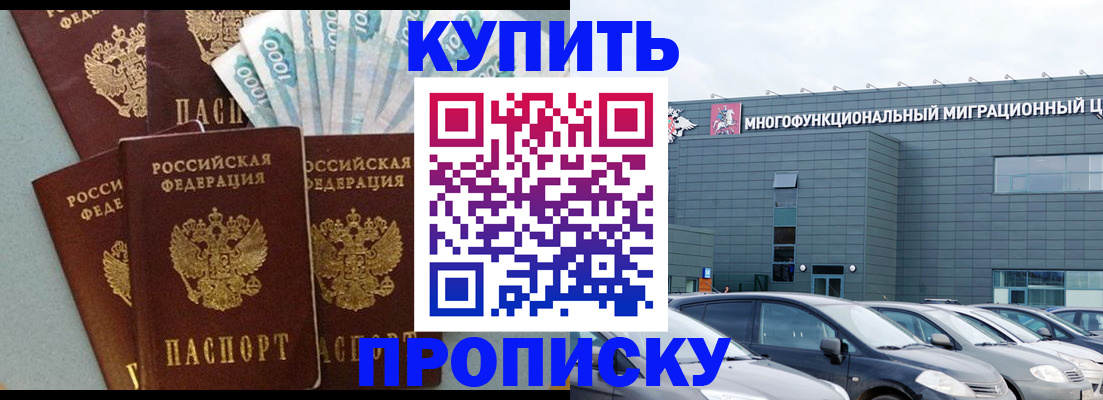 прописка штамп в Бабаево